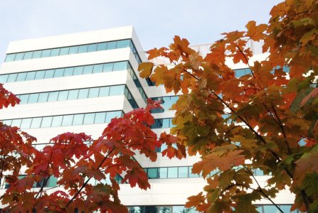 Москва, пр-кт Ленинский, 119А. Фото № 4