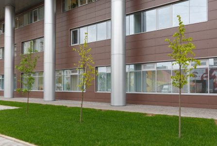 Москва, ул Отрадная, 2Б с9. Фото № 5