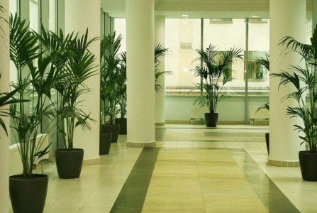 Москва, ул Радио, 24 к 2. Фото № 1