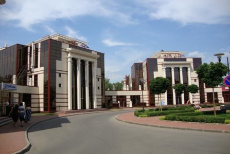 Московская область, г Одинцово, с Усово, 100. Фото № 4