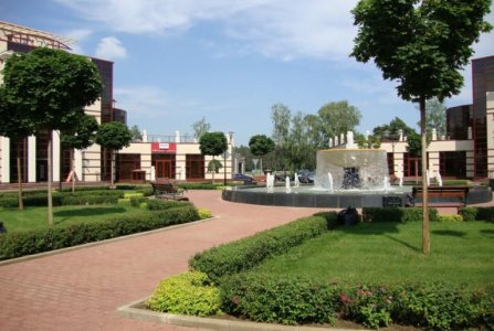 Московская область, г Одинцово, с Усово, 100. Фото № 5