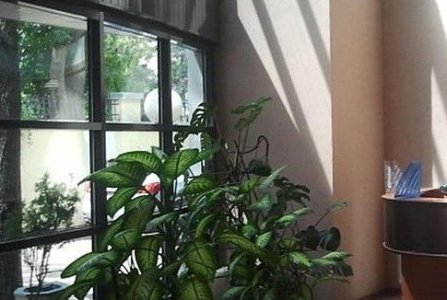 Москва, пер Сивцев Вражек, 25/9 стр 1. Фото № 4