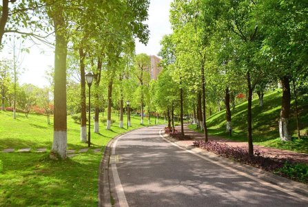 Москва, ул Вавилова, 24 к 1. Фото № 1