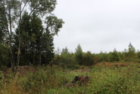деревня Вражеское, Рузский городской округ, Московская область, ул Центральная, 6. Фото № 2
