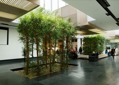 Конференц-залы и переговорные комнаты