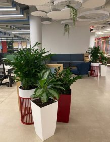 Гибкие планировки (лофт-пространства)