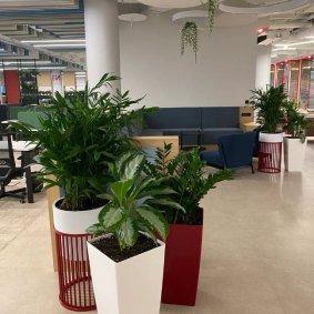 Гибкие планировки (лофт-пространства)