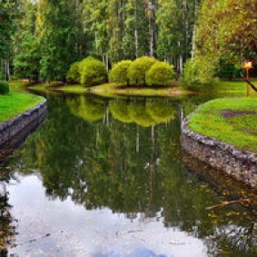Рядом Медведковский лесопарк – зелёная зона для прогулок